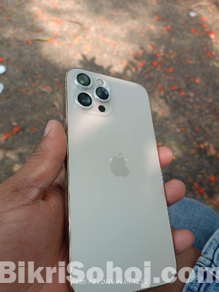Iphone 12 pro max